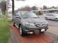 Nimbus Gray Metallic - MDX Technology Photo No. 3