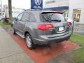 Nimbus Gray Metallic - MDX Technology Photo No. 7