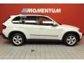 Alpine White - X5 3.0si Photo No. 4