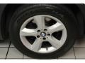 Alpine White - X5 3.0si Photo No. 15