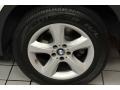 Alpine White - X5 3.0si Photo No. 23