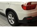 Alpine White - X5 3.0si Photo No. 24
