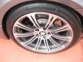 2010 BMW M3 Coupe Wheel and Tire Photo