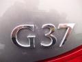 2008 Amethyst Graphite Gray Infiniti G 37 Journey Coupe  photo #31