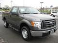 2011 Sterling Grey Metallic Ford F150 XL Regular Cab 4x4  photo #4