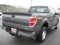 2011 Sterling Grey Metallic Ford F150 XL Regular Cab 4x4  photo #6