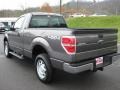 2011 Sterling Grey Metallic Ford F150 XL Regular Cab 4x4  photo #8