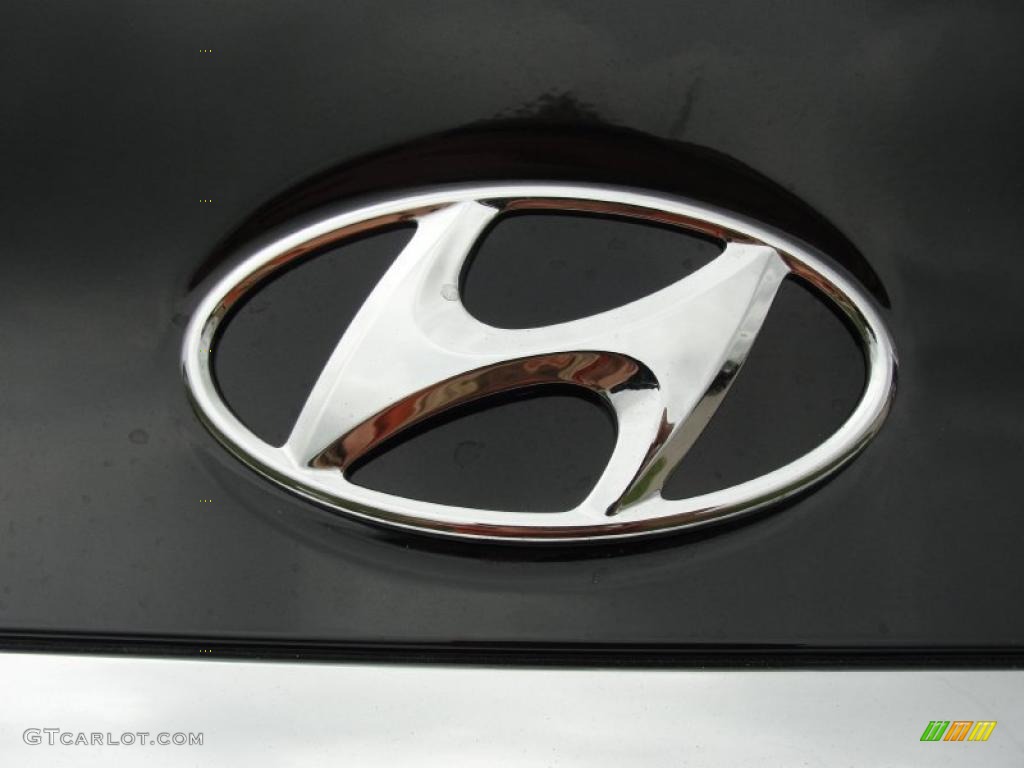 2011 Sonata Limited - Midnight Black / Camel photo #16