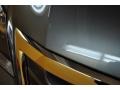 Sterling Gray Metallic - Odyssey EX-L Photo No. 22