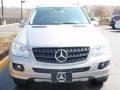 Pewter Metallic - ML 350 4Matic Photo No. 2