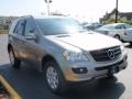 Pewter Metallic - ML 350 4Matic Photo No. 3