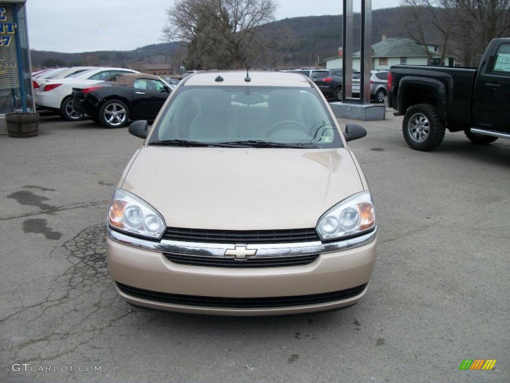 2005 Malibu Maxx LS Wagon - Light Driftwood Metallic / Neutral Beige photo #3