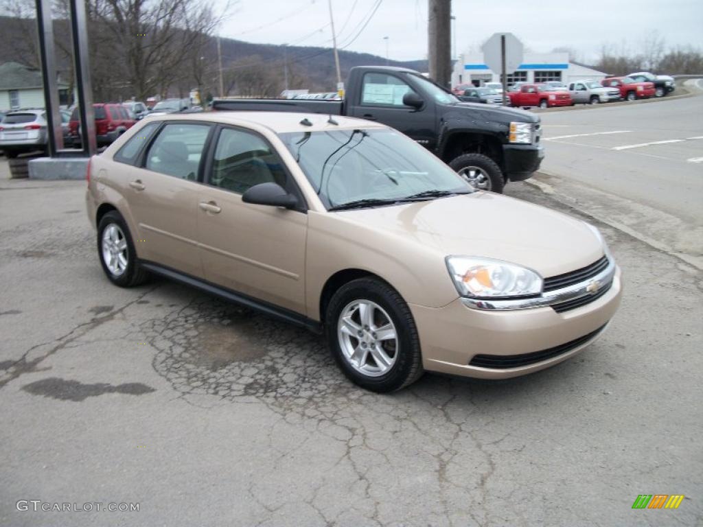 2005 Malibu Maxx LS Wagon - Light Driftwood Metallic / Neutral Beige photo #4