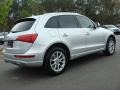 2009 Ice Silver Metallic Audi Q5 3.2 Premium quattro  photo #6