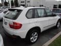Alpine White - X5 3.0si Photo No. 7