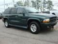 Forest Green Pearl - Durango SLT Photo No. 6