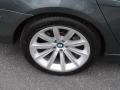 2008 Titanium Grey Metallic BMW 7 Series 750Li Sedan  photo #7