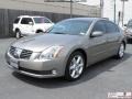 Spirited Bronze Pearl - Maxima 3.5 SE Photo No. 4