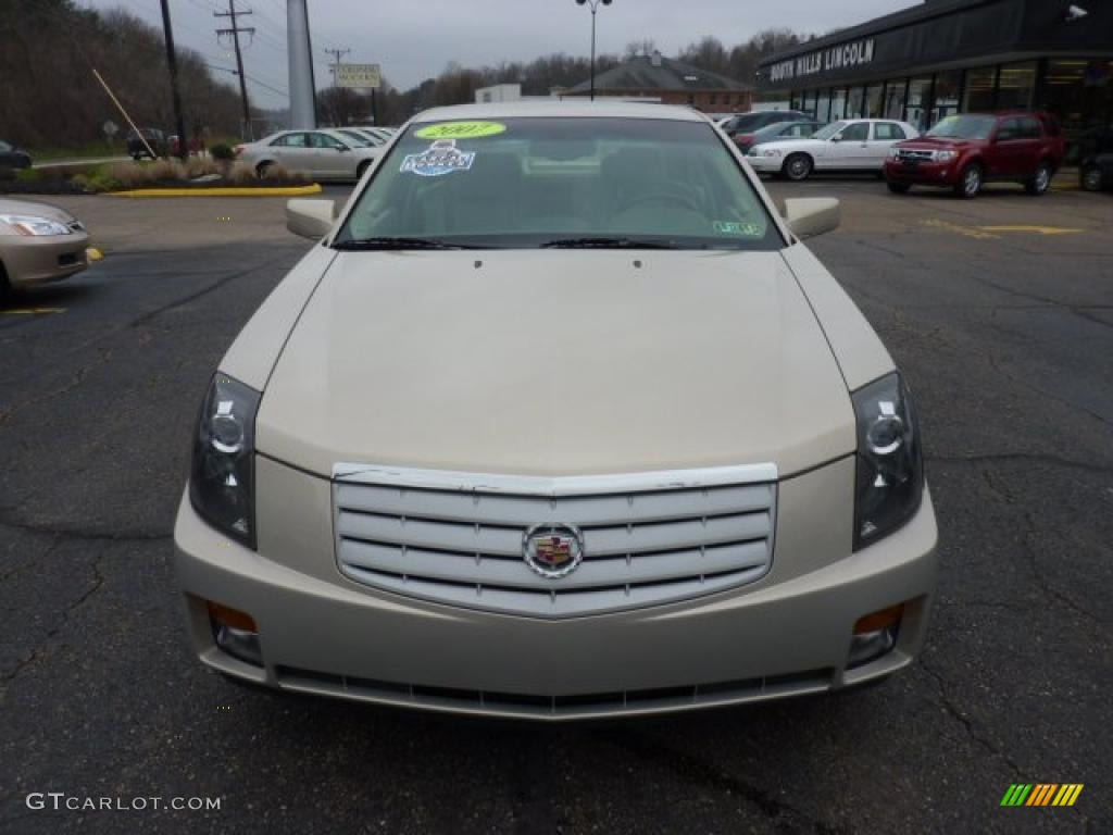 2007 CTS Sport Sedan - Gold Mist / Cashmere photo #6