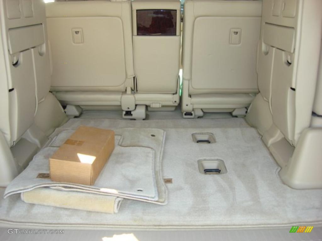 2010 Lexus LX 570 Trunk Photo #47843744