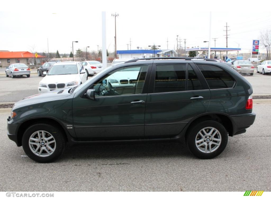 2006 X5 3.0i - Highland Green Metallic / Beige photo #9