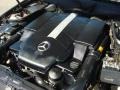 5.0 Liter SOHC 24-Valve V8 Engine for 2003 Mercedes-Benz CLK 500 Coupe #47850812