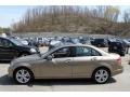 Sand Beige Metallic 2010 Mercedes-Benz C 300 Luxury 4Matic Exterior