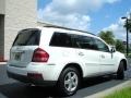 Arctic White - GL 450 4Matic Photo No. 6