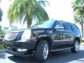 Black Raven - Escalade  Photo No. 2