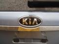 2008 Glacier Blue Metallic Kia Sedona LX  photo #14