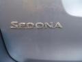 2008 Glacier Blue Metallic Kia Sedona LX  photo #15