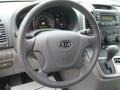 2008 Glacier Blue Metallic Kia Sedona LX  photo #52