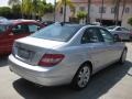 Iridium Silver Metallic - C 300 Luxury Photo No. 2