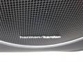 Iridium Silver Metallic - C 300 Luxury Photo No. 9