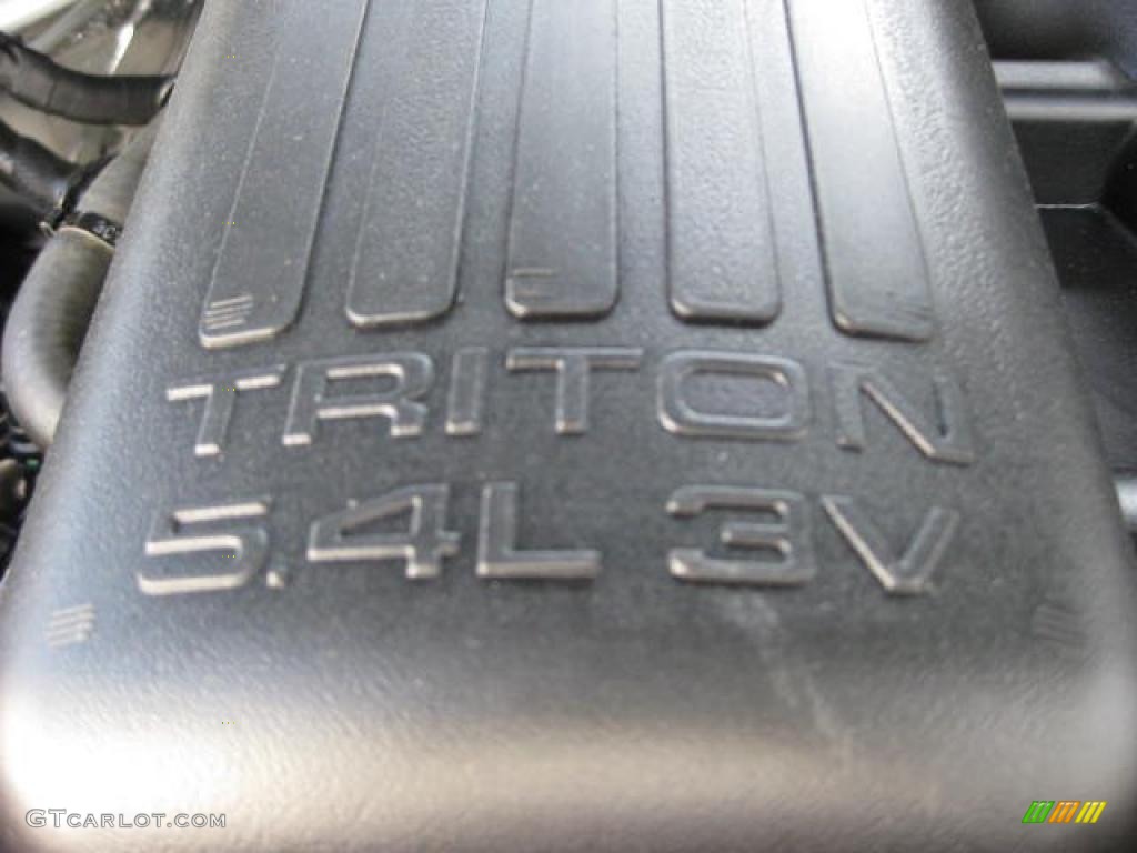 2009 Ford F150 XLT SuperCab 4x4 5.4 Liter SOHC 24-Valve VVT Triton V8 Engine Photo #47865277