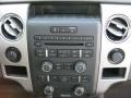 Stone/Medium Stone Controls Photo for 2009 Ford F150 #47865412