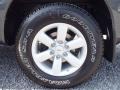 Smoke Gray - Titan SV King Cab Photo No. 10