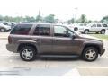 2008 Desert Brown Metallic Chevrolet TrailBlazer LT  photo #5