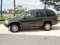 2004 Graphite Metallic Jeep Grand Cherokee Limited  photo #8