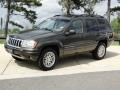 Front 3/4 View of 2004 Grand Cherokee Limited