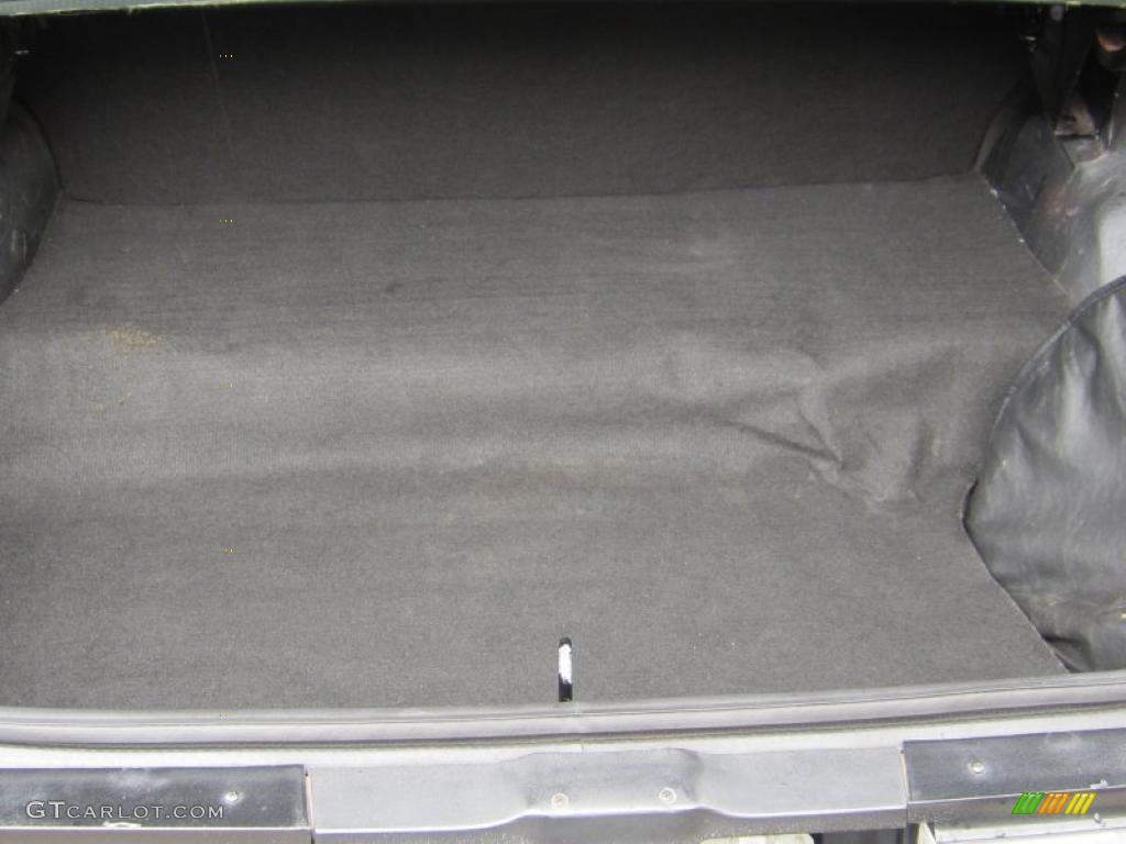 1987 Buick Regal Grand National Trunk Photo #47880149