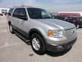 2004 Silver Birch Metallic Ford Expedition XLT 4x4  photo #4