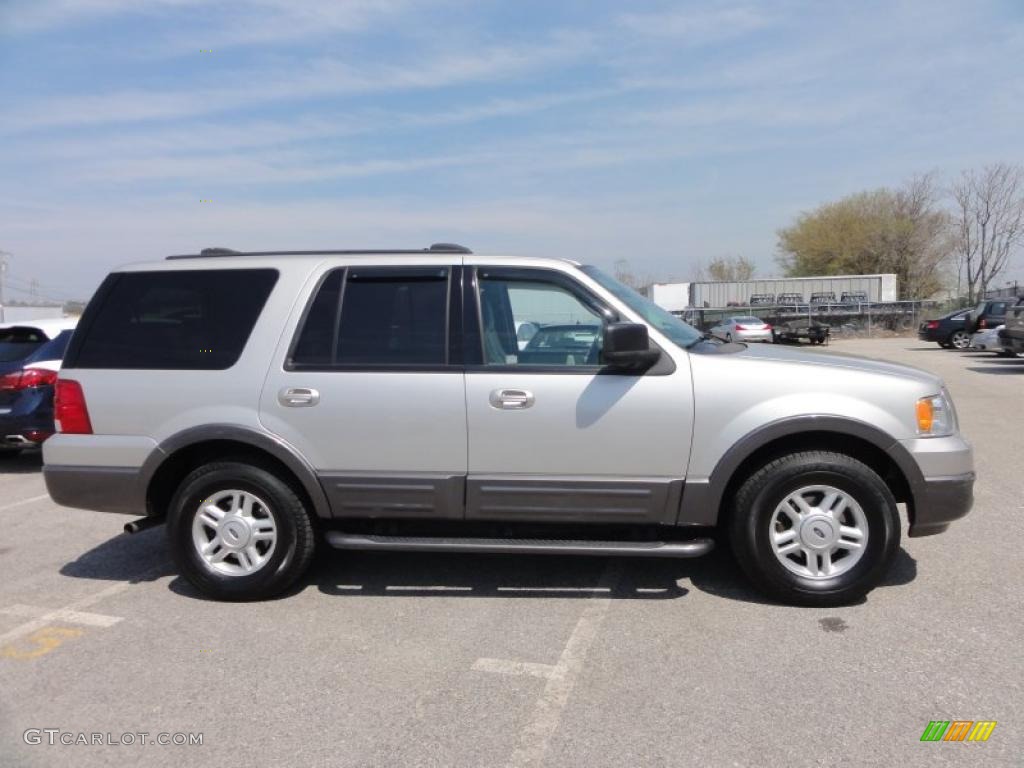 Silver Birch Metallic 2004 Ford Expedition XLT 4x4 Exterior Photo #47882414