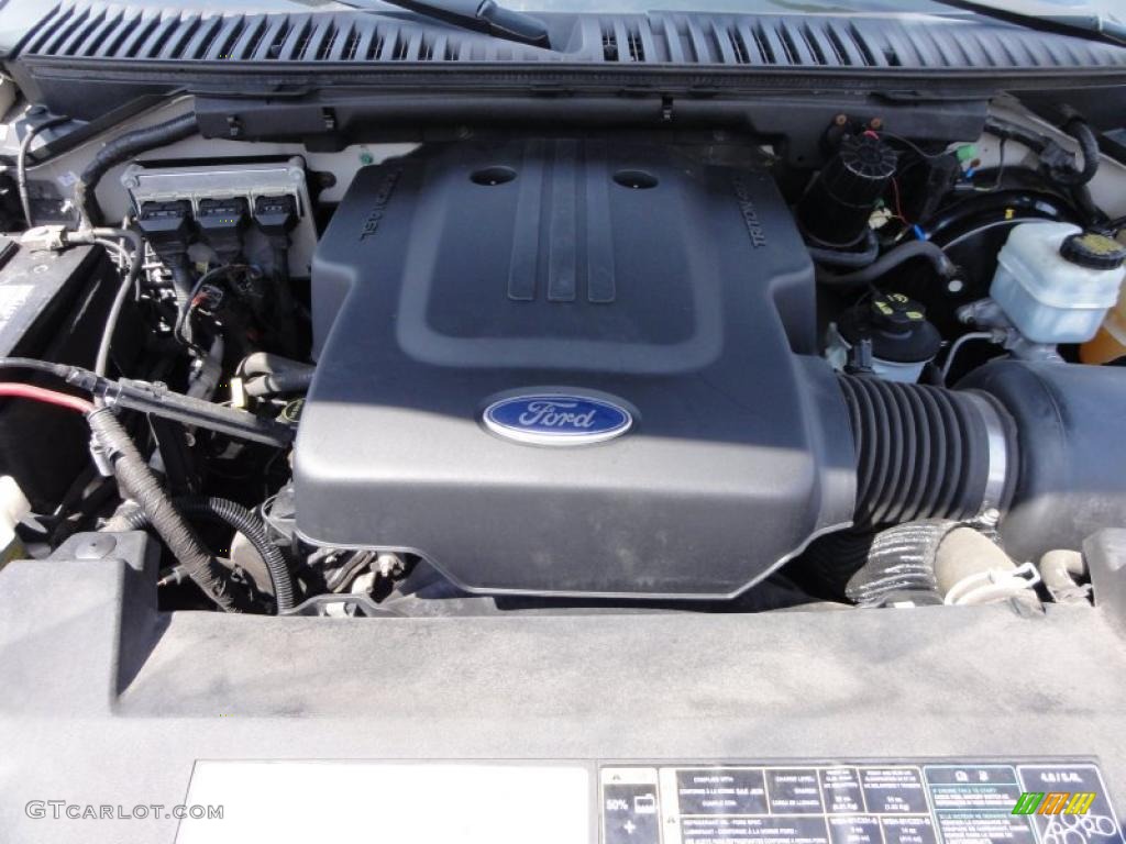 2004 Ford Expedition XLT 4x4 4.6 Liter SOHC 16-Valve Triton V8 Engine Photo #47882891