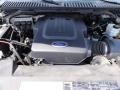 4.6 Liter SOHC 16-Valve Triton V8 Engine for 2004 Ford Expedition XLT 4x4 #47882891