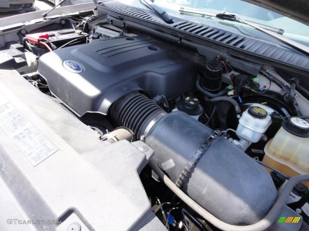 2004 Ford Expedition XLT 4x4 4.6 Liter SOHC 16-Valve Triton V8 Engine Photo #47882909