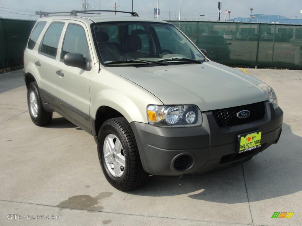 Gold Ash Metallic Ford Escape