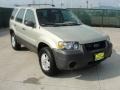 2005 Gold Ash Metallic Ford Escape XLS  photo #1