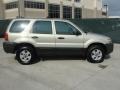 2005 Gold Ash Metallic Ford Escape XLS  photo #2