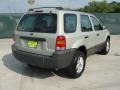 2005 Gold Ash Metallic Ford Escape XLS  photo #3